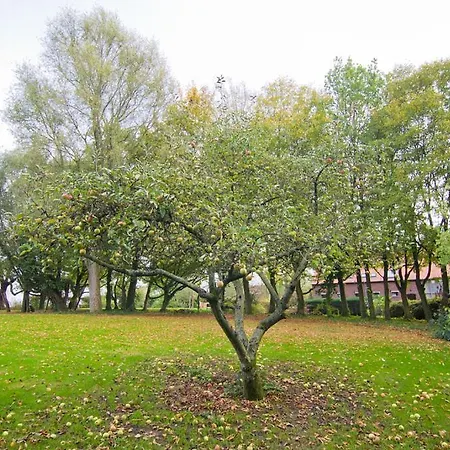 Vakantiewoning L'eau Tendre In Ellezelles, Met Wellness En Buitenzwembad Met Overkapping Дом отдыха Ellezelles