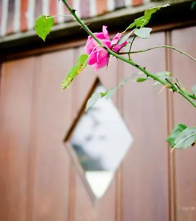 Vakantiewoning L'eau Tendre In Ellezelles, Met Wellness En Buitenzwembad Met Overkapping Дом отдыха