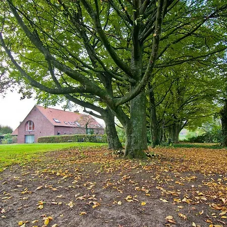 Semesterbostad Vakantiewoning L'eau Tendre In Ellezelles, Met Wellness En Buitenzwembad Met Overkapping
